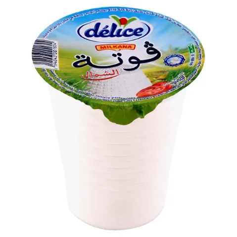 Ricotte Goutta du nord DELICE 330 g
