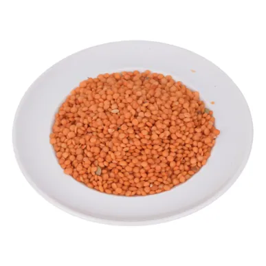 Lentille rouge CHAIEB Conditionné par 100 g
