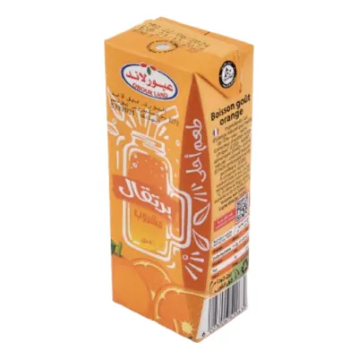Boisson au jus Orange OUBOUR LAND 200 ml