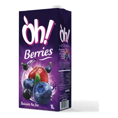 Boisson au jus Berries OH 1L
