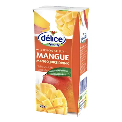 Nectar mangue DELICE 20 cl
