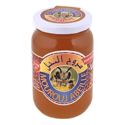 Miel du nord MOUROUJ ABEILLE 500 g