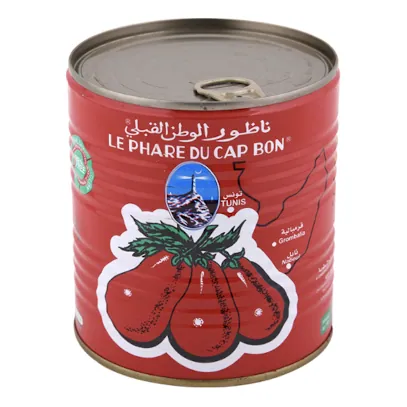 Concentré de tomate CAP BON 800 g