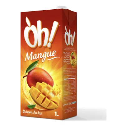 Boisson au jus Mangue OH 1L