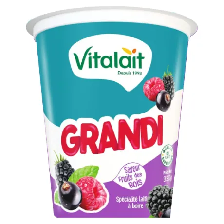 Yaourt à boire Fruits des bois VITALAIT 330 g