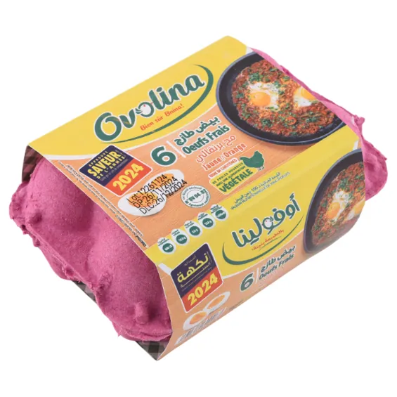 Œufs frais Jaune orange OVOLINA 6 Pièces