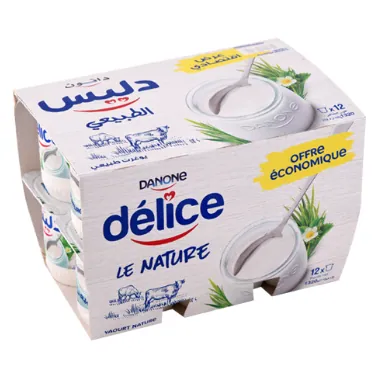 Yaourt nature DELICE DANONE 12 x 110 g