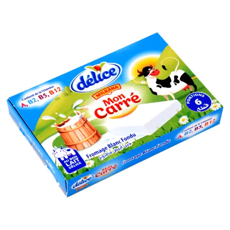 Fromage frais carré DELICE 6 Portions