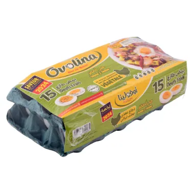 Oeufs frais Jaune-jaune OVOLINA 15 Pièces