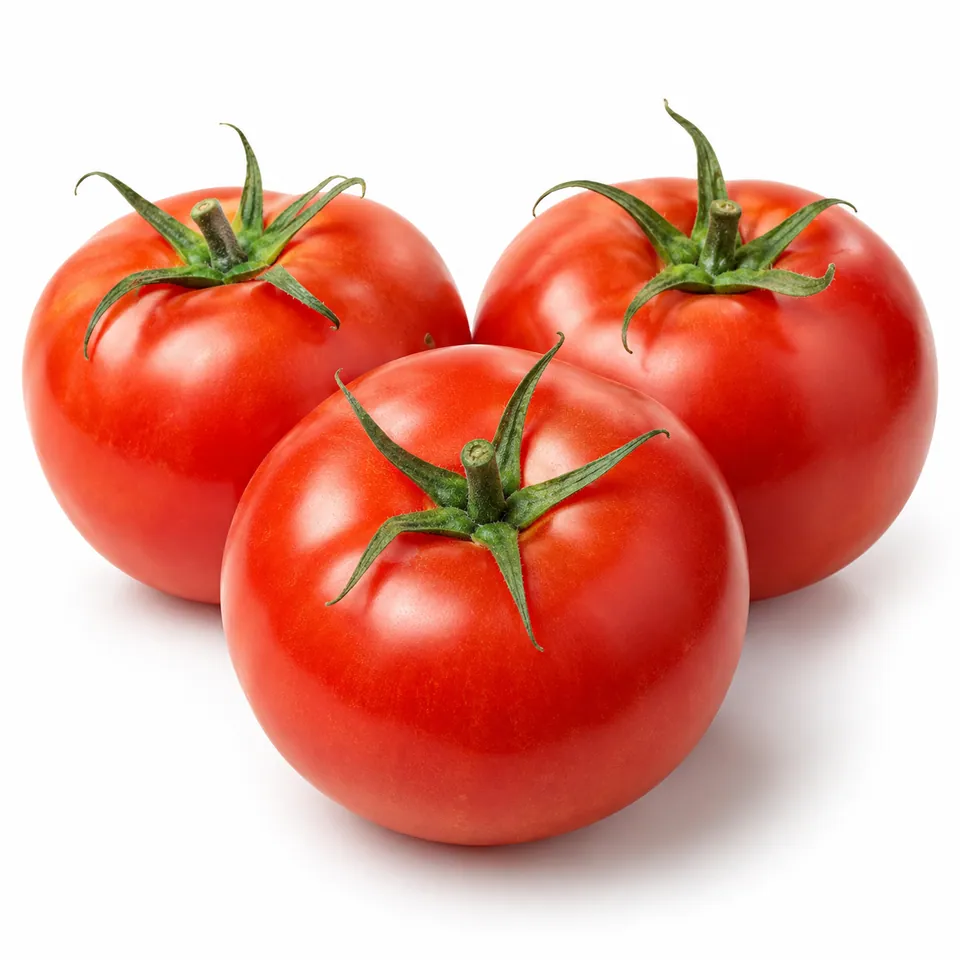 Tomates rondes – طماطم مدوّرة
