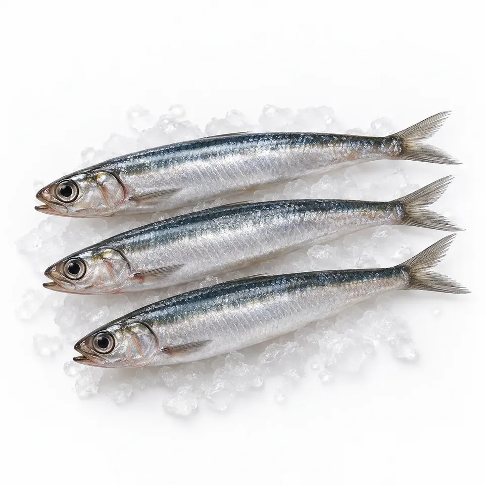 Anchois